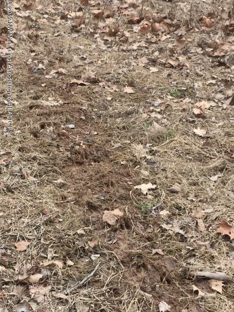 92.50 Murphyboro Road Scobey, MS 38953 - Photo 6 of 11 IMG_0277
