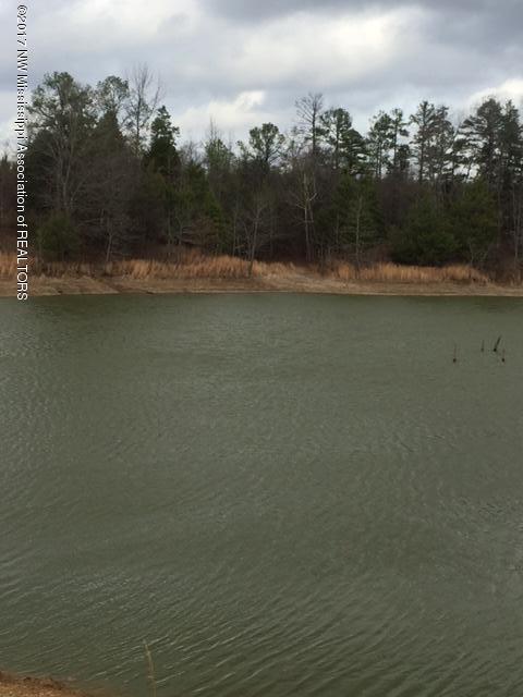 92.50 Murphyboro Road Scobey, MS 38953 - Photo 7 of 11 IMG_0285