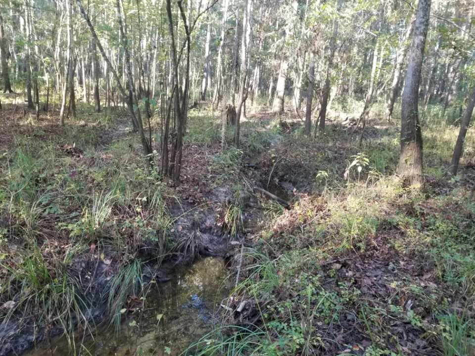 392 Peacemaker Road Monticello, FL 32344 - Photo 1 of 2 Gallery Image 1