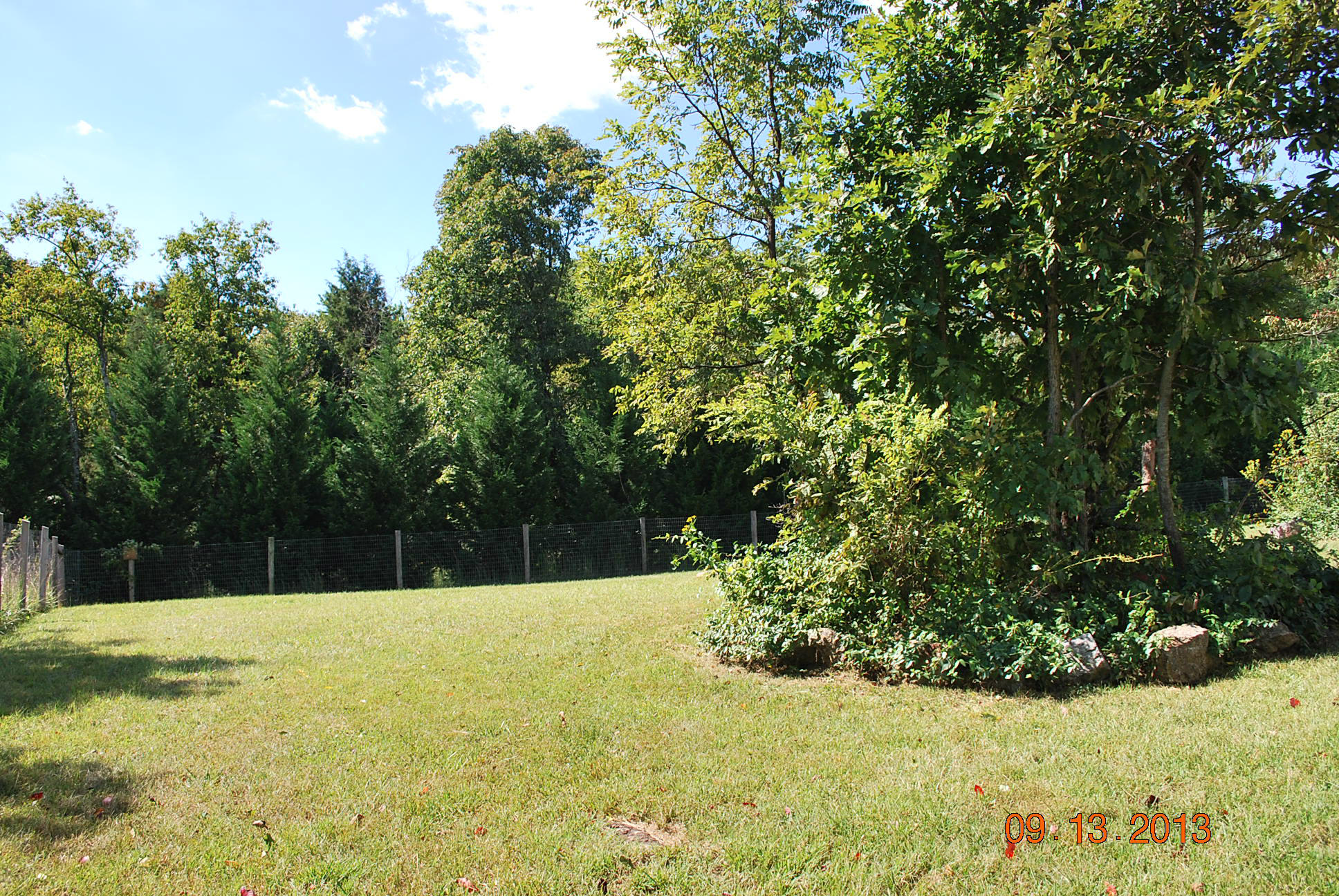 2777 Highland Road Roanoke, VA 24014 - Photo 38 of 56 a view of backyard with tree
