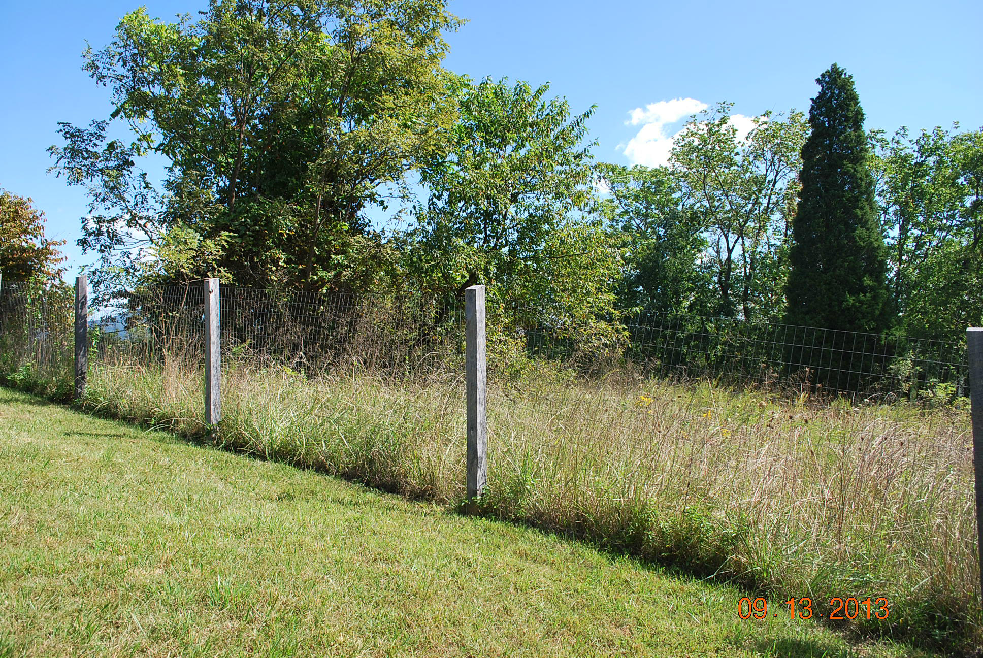 2777 Highland Road Roanoke, VA 24014 - Photo 56 of 56 BACKYARD