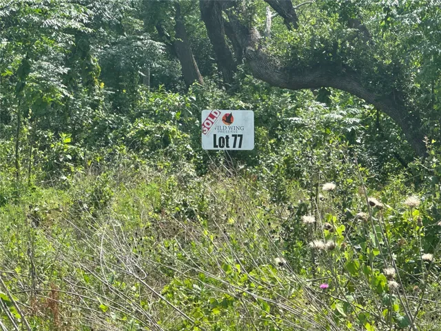 a view of a lush green forest with lots of trees