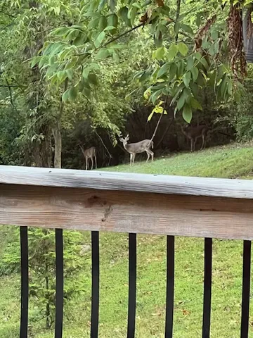 $649,997 | 1604 Becca Lane, Columbia, TN 38401