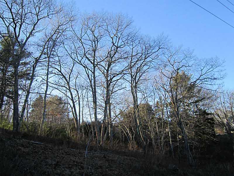Lot 37 Christian Ridge Road Ellsworth, ME 04605 - Photo 24 of 26 Land.