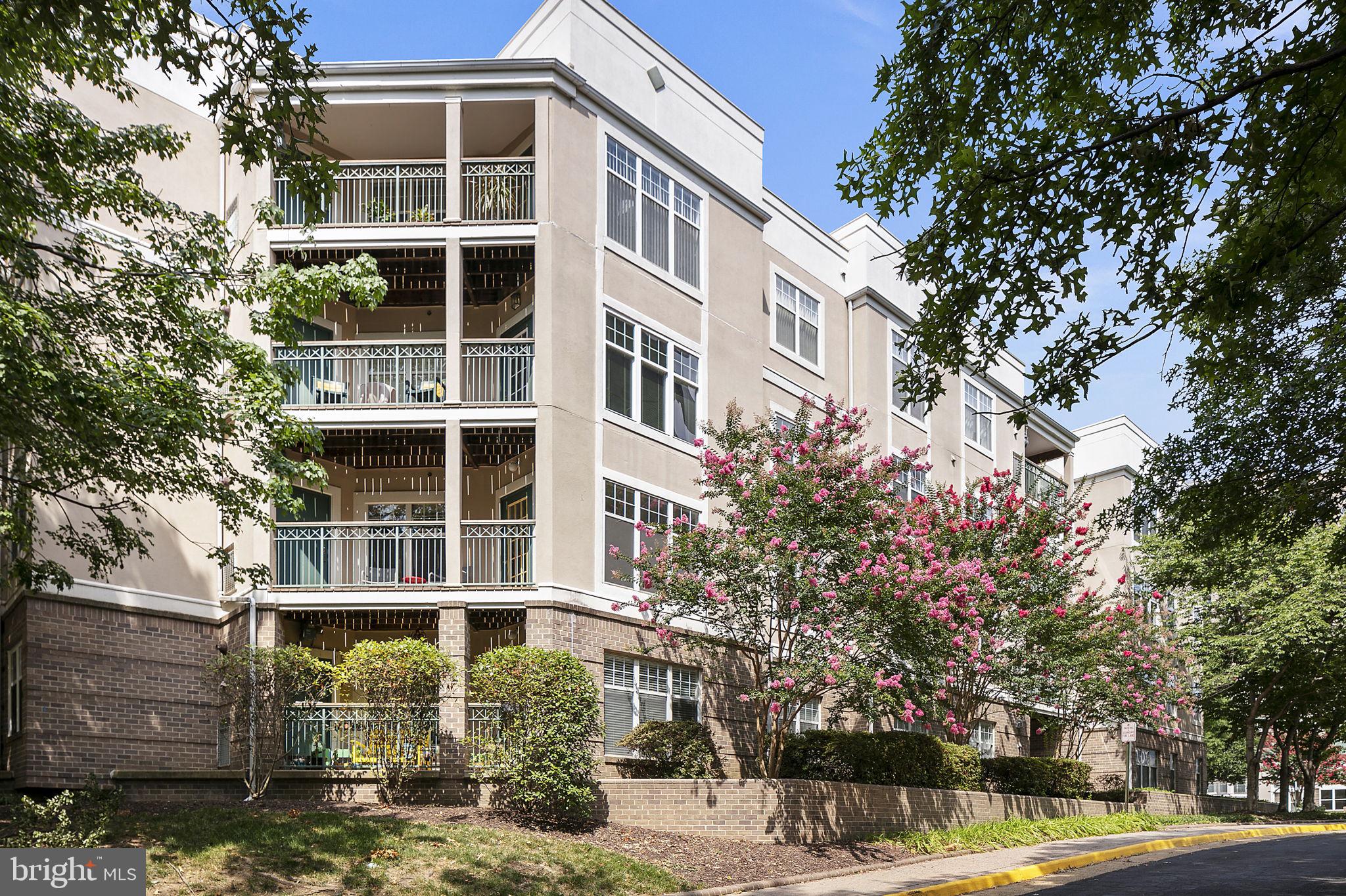 5563 Seminary Road, Unit 313 Falls Church, VA 22041 - Photo 2 of 43