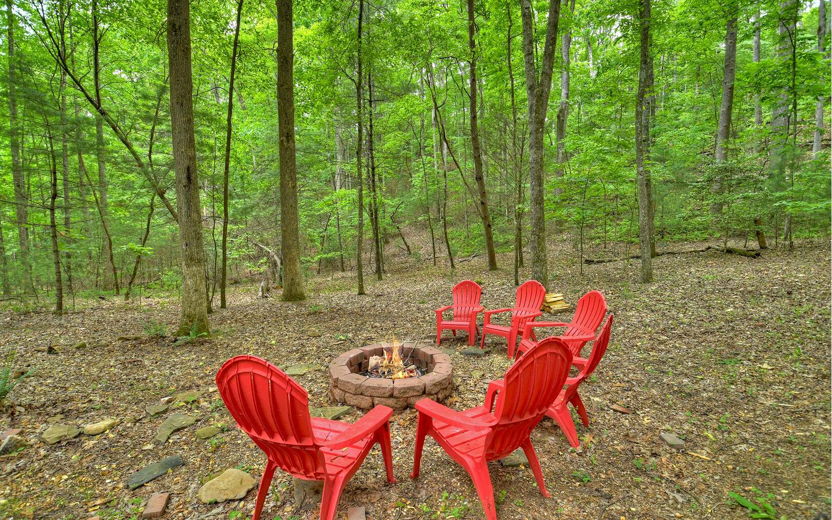 185 Hatchet Trail Cherry Log, GA 30522 - Photo 25 of 27 Additional View
