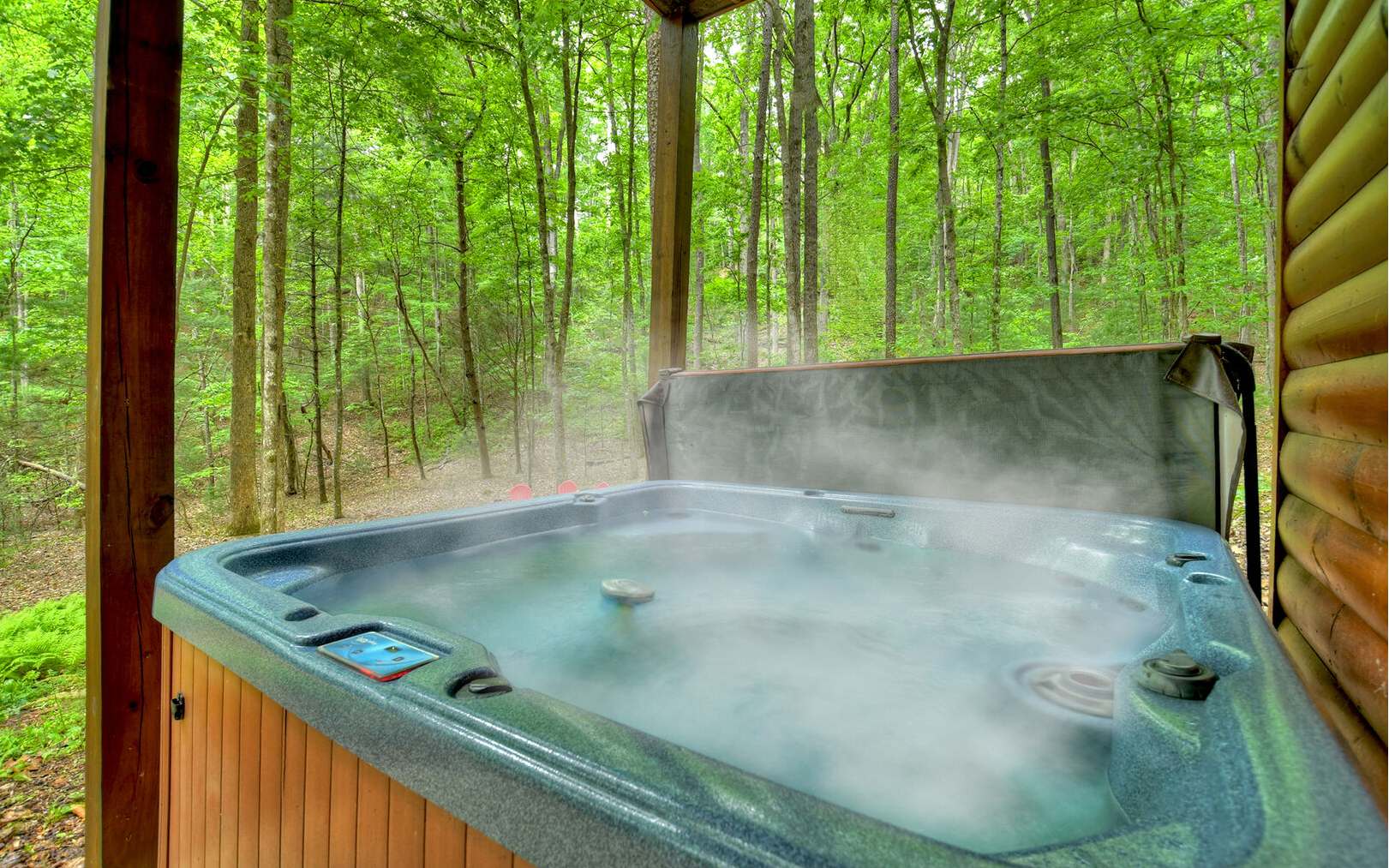 185 Hatchet Trail Cherry Log, GA 30522 - Photo 3 of 27 Additional View