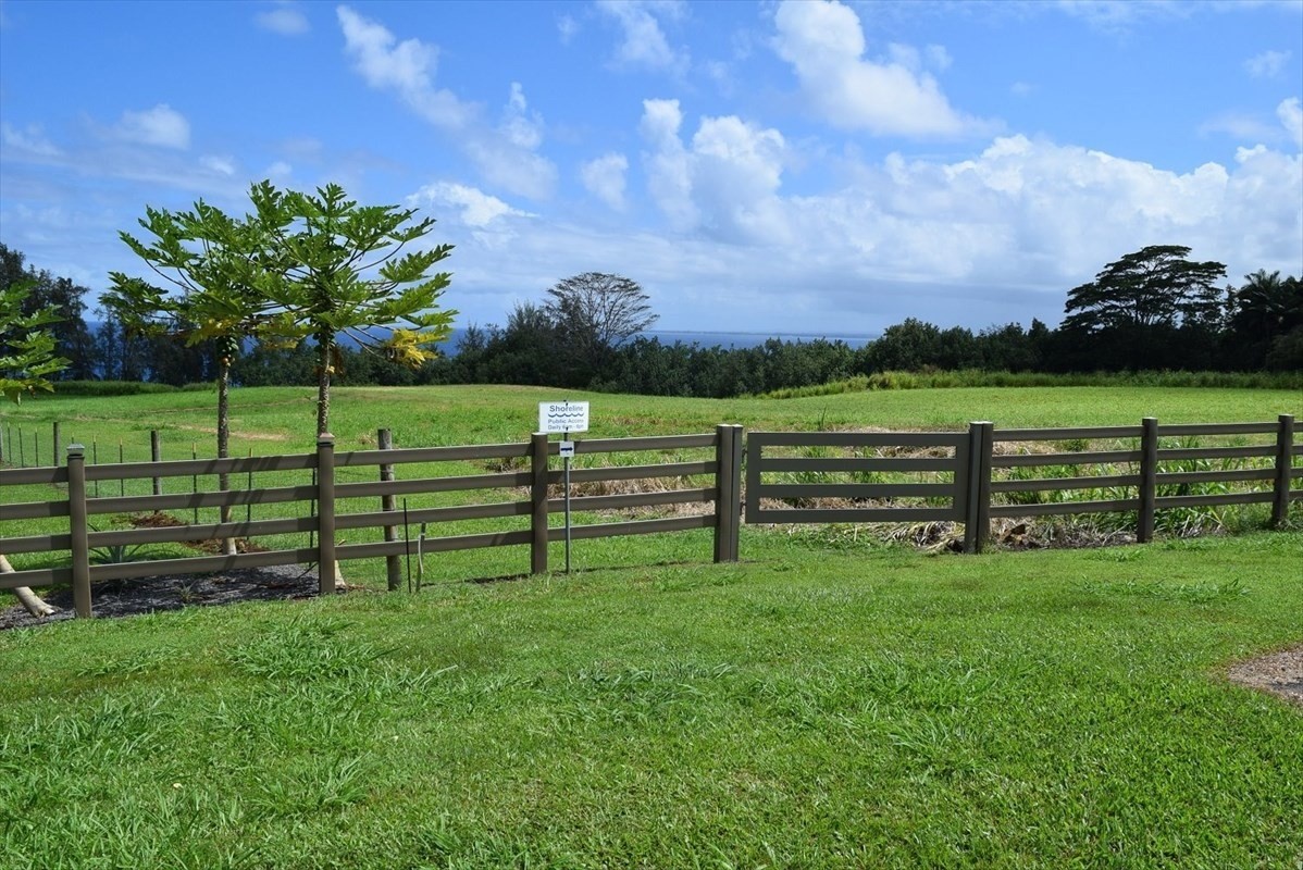 a view of a park with large trees