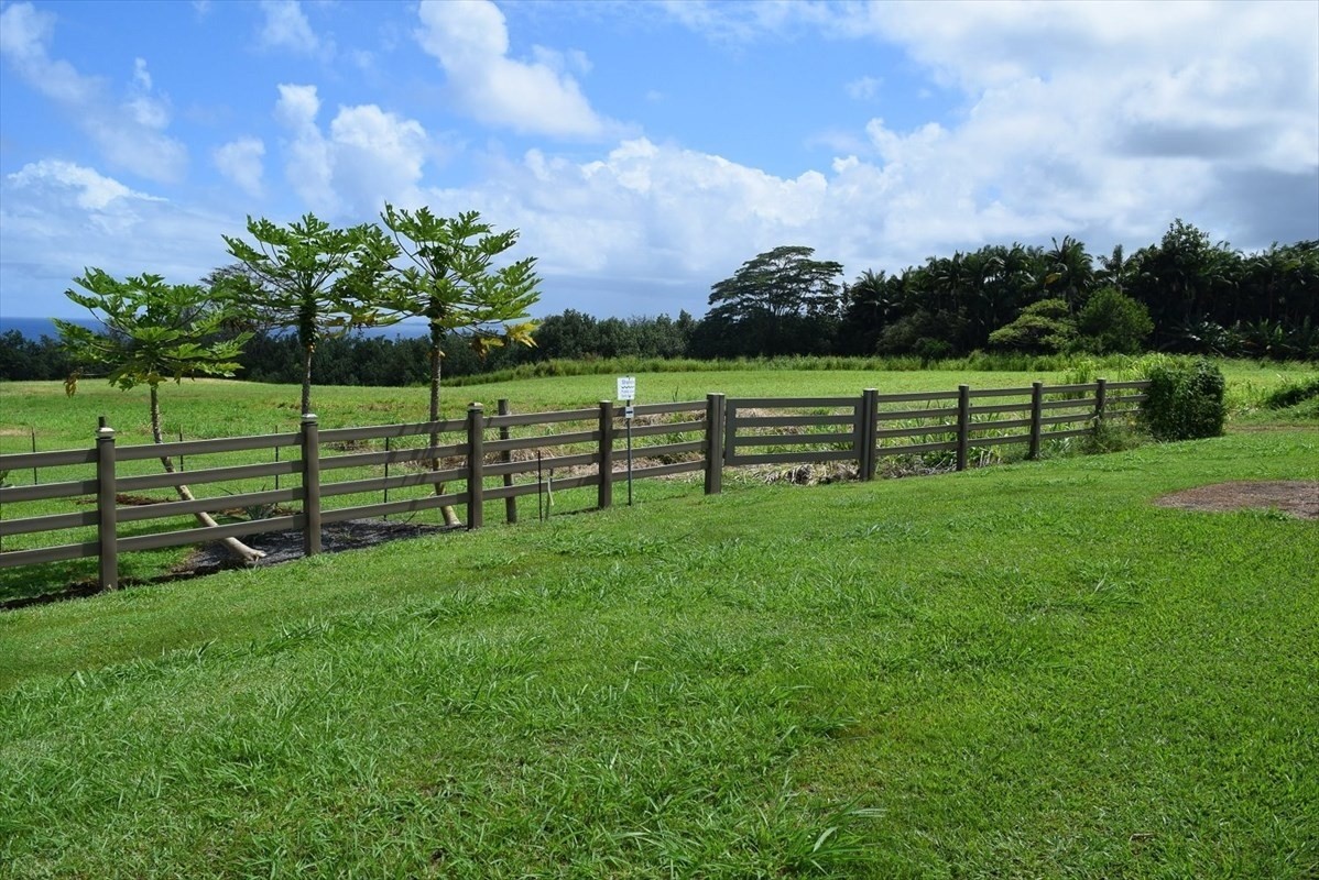 79 Loa Road, Unit 79 Pepeekeo, HI 96783 - Photo 2 of 5 a view of a park with large trees