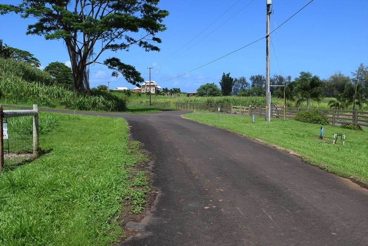 79 Loa Road, Unit 79 Pepeekeo, HI 96783 - Photo 4 of 5 a view of a park with plants and large trees