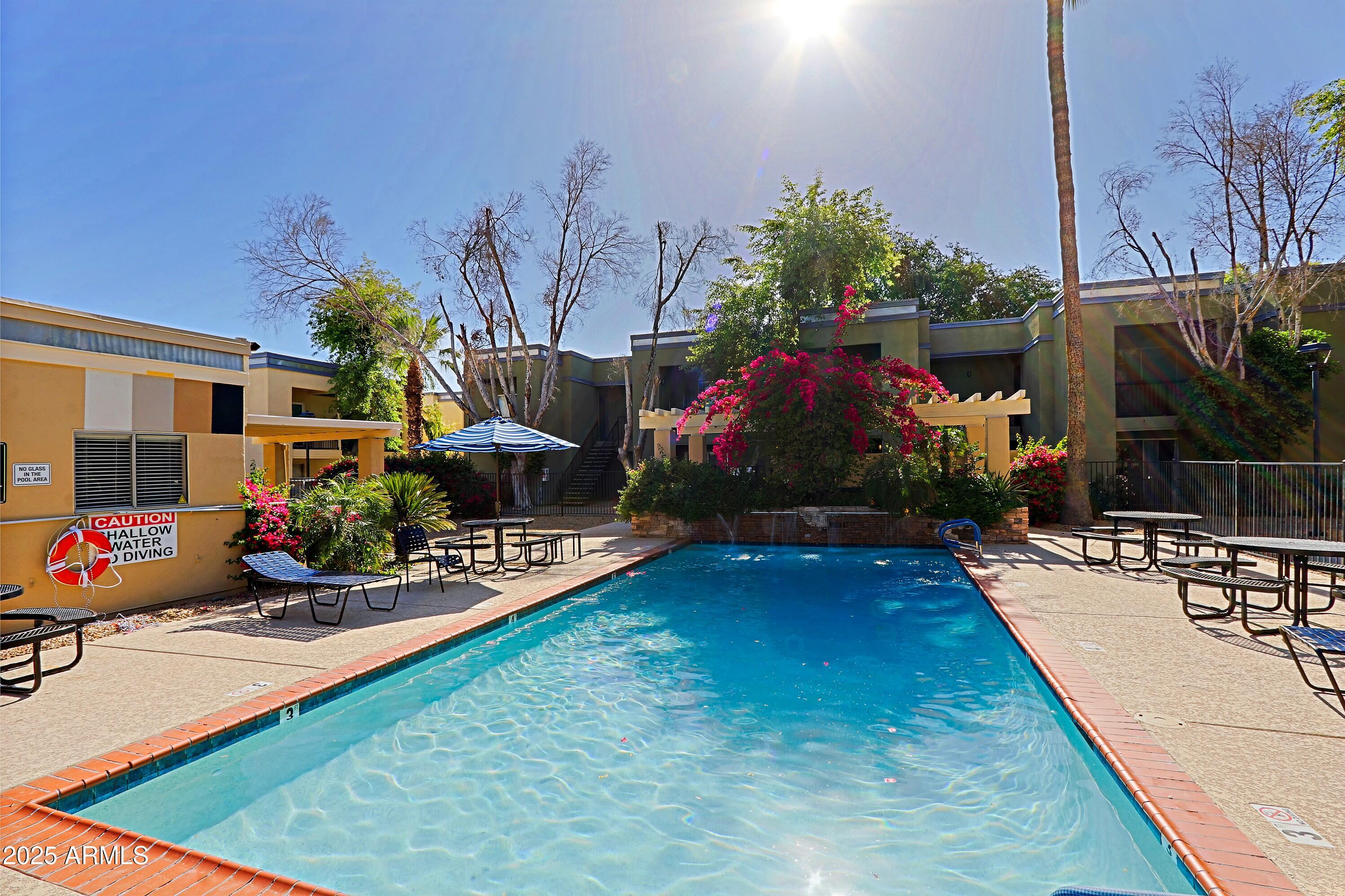 740 West Elm Street, Unit 116 Phoenix, AZ 85013 - Photo 19 of 36 Community Pool 1