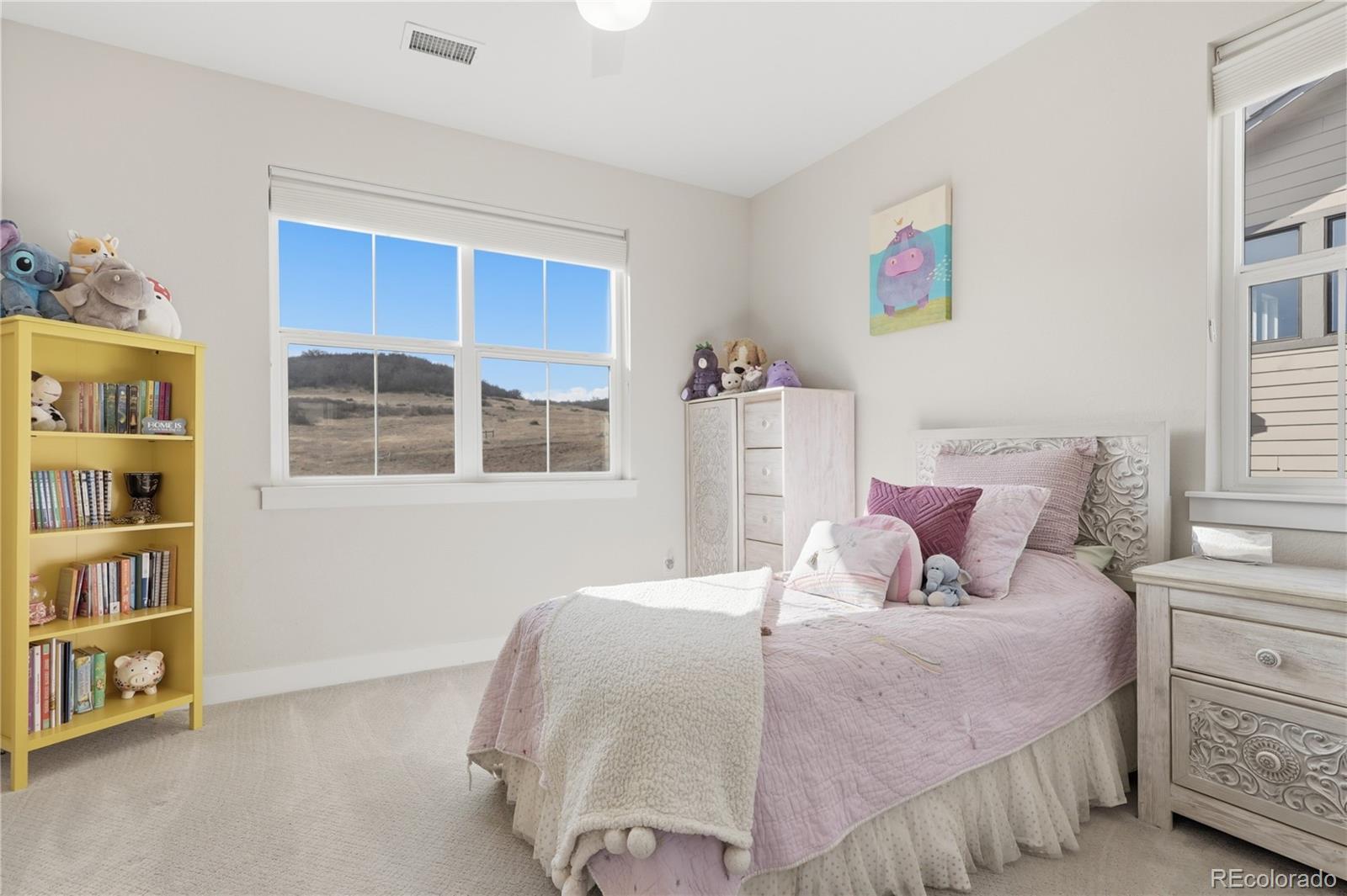 9625 Viewside Drive Lone Tree, CO 80124 - Photo 30 of 50