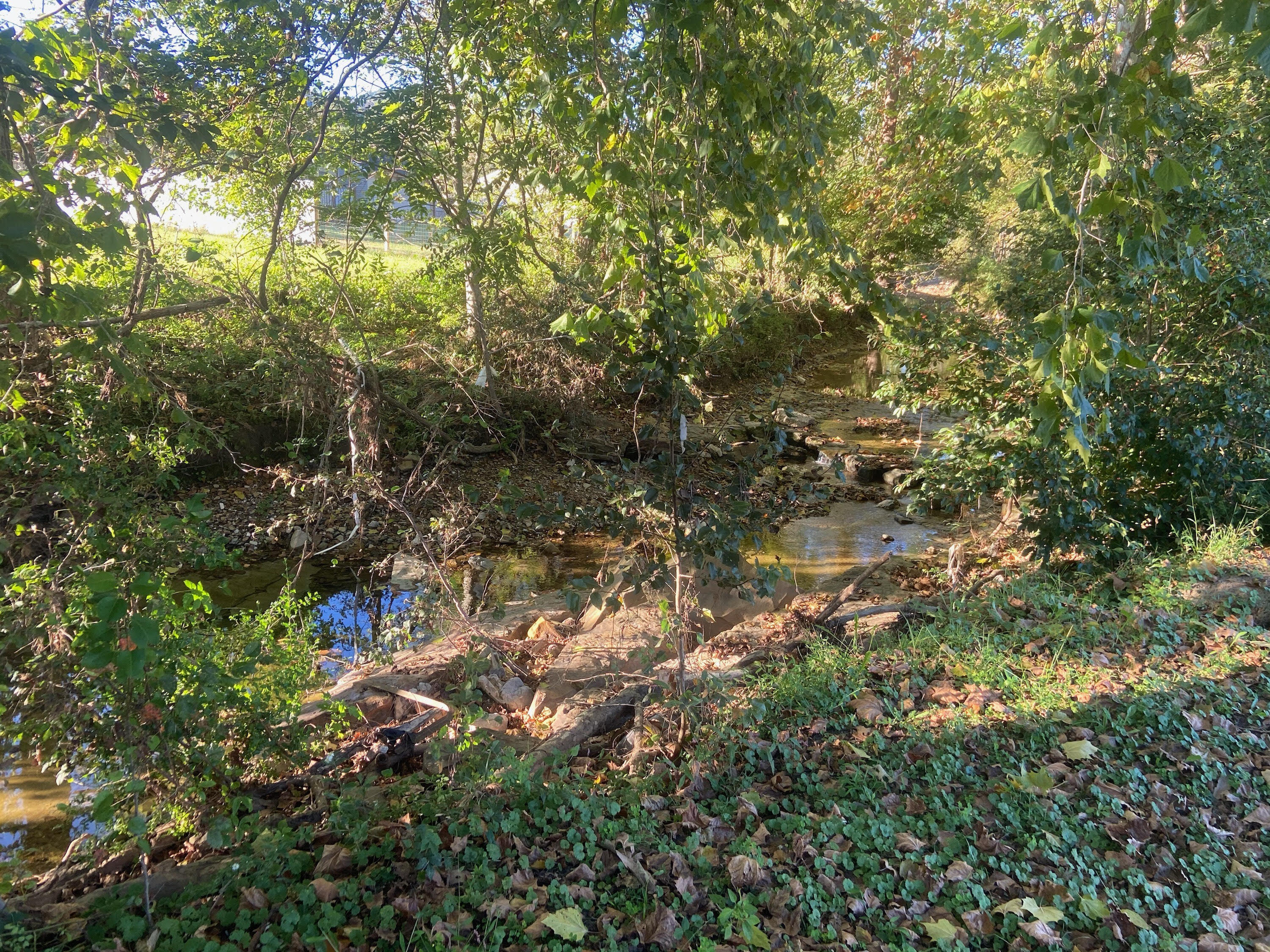 3986 Paint Creek Road Stanton, KY 40380 - Photo 18 of 20 20