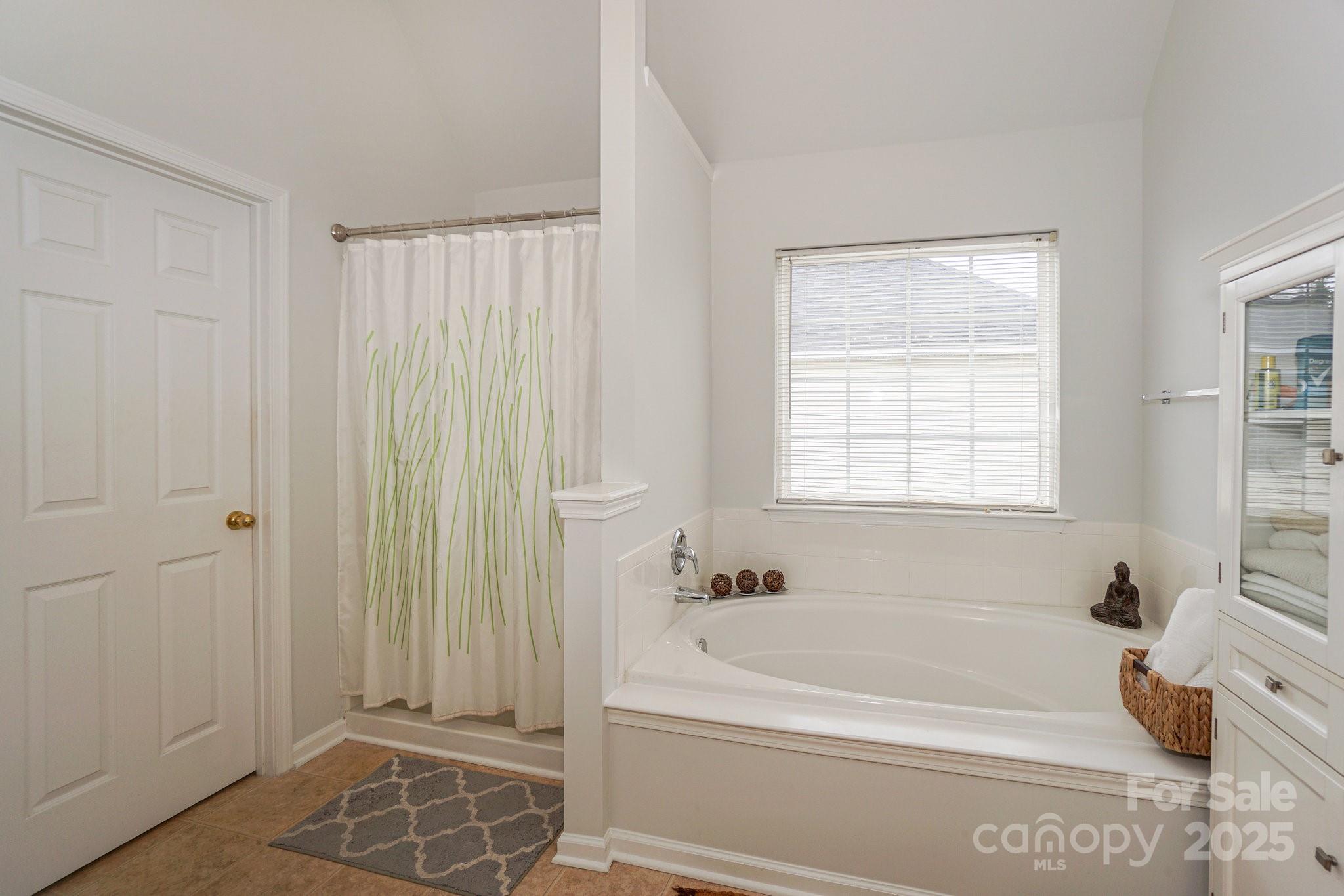 166 Glennallen Road Mooresville, NC 28115 - Photo 29 of 48 a white bath tub sitting next to a window