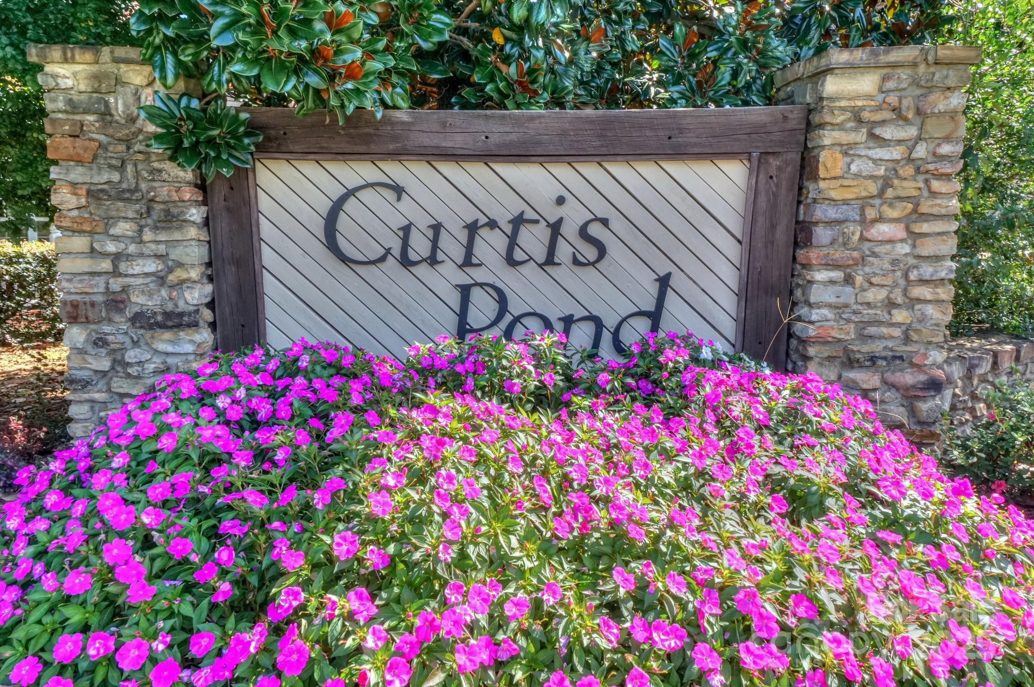 166 Glennallen Road Mooresville, NC 28115 - Photo 48 of 48 a view of a street with flower plants