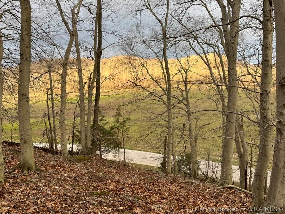 Fields Road Vallonia, IN 47281 - Photo 15 of 16