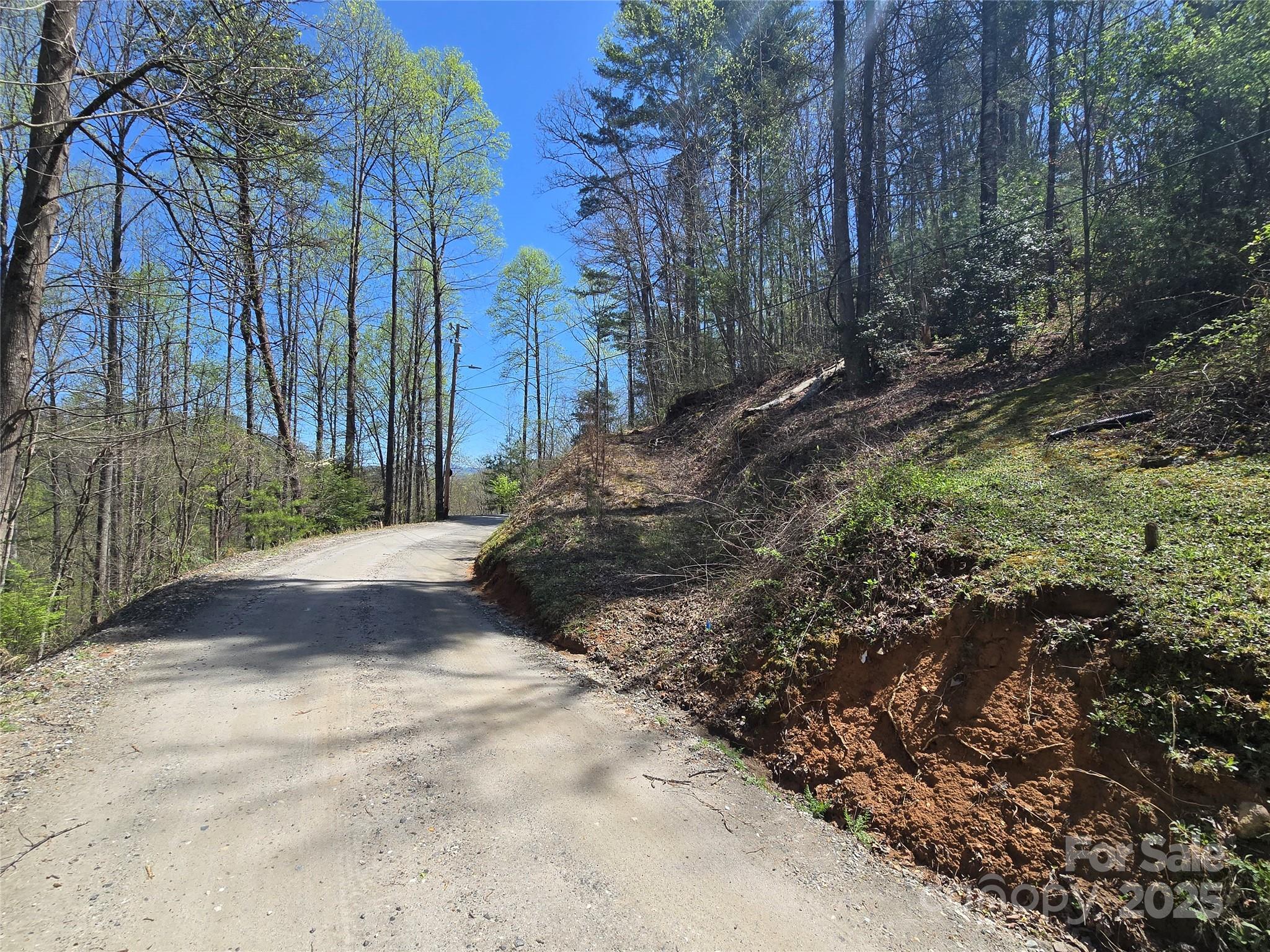 0 Riverside Drive, Unit 33/34 Whittier, NC 28789 - Photo 8 of 25 a view of a yard with plants and trees