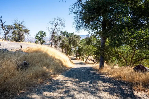 a view of dirt yard