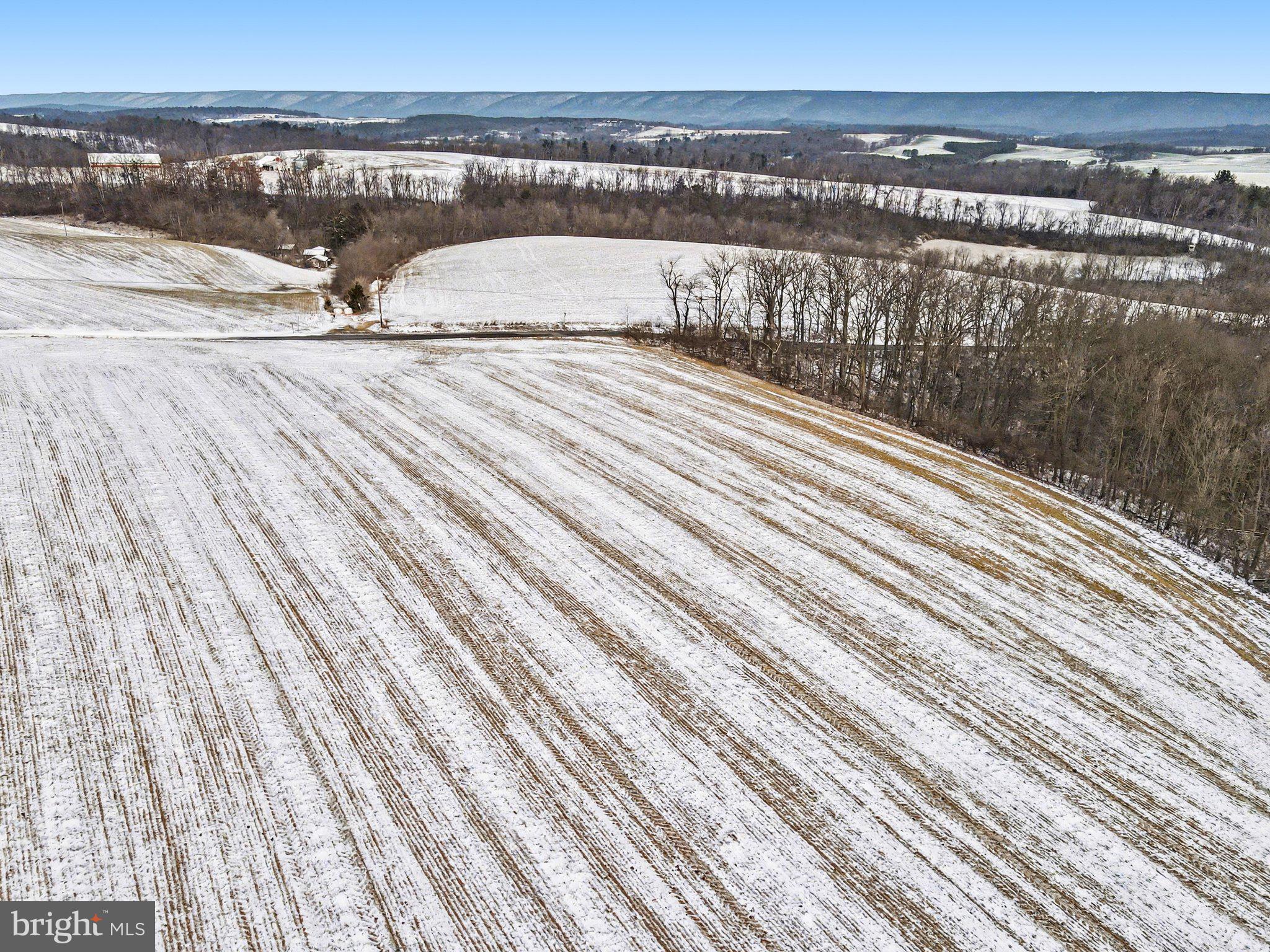Willard Hill Rd Mount Mount Pleasant Mills, PA 17853 - Photo 11 of 20
