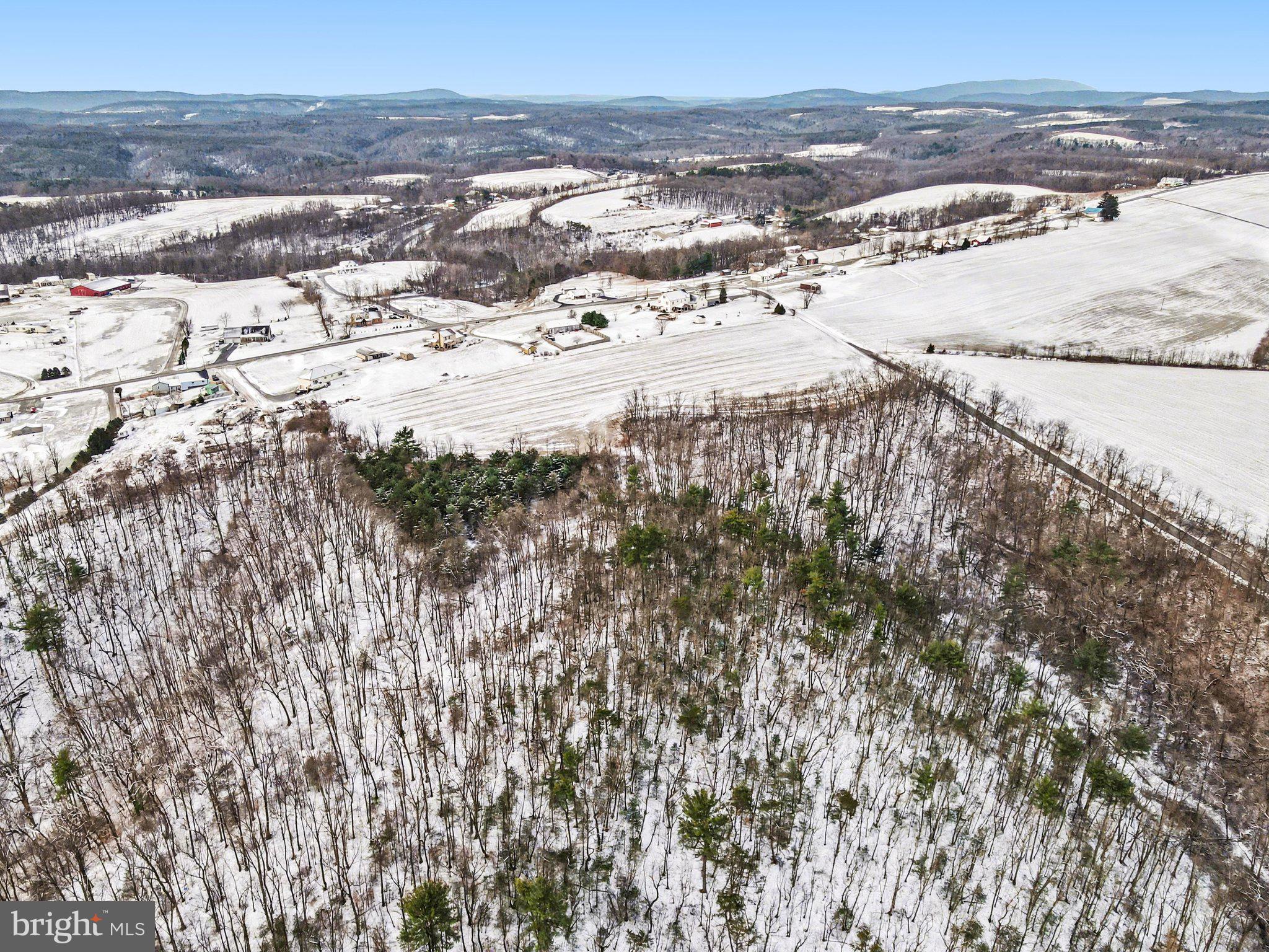 Willard Hill Rd Mount Mount Pleasant Mills, PA 17853 - Photo 12 of 20