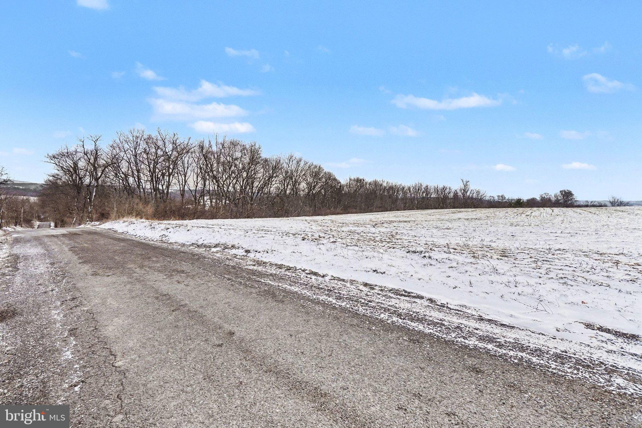 Willard Hill Rd Mount Mount Pleasant Mills, PA 17853 - Photo 5 of 20