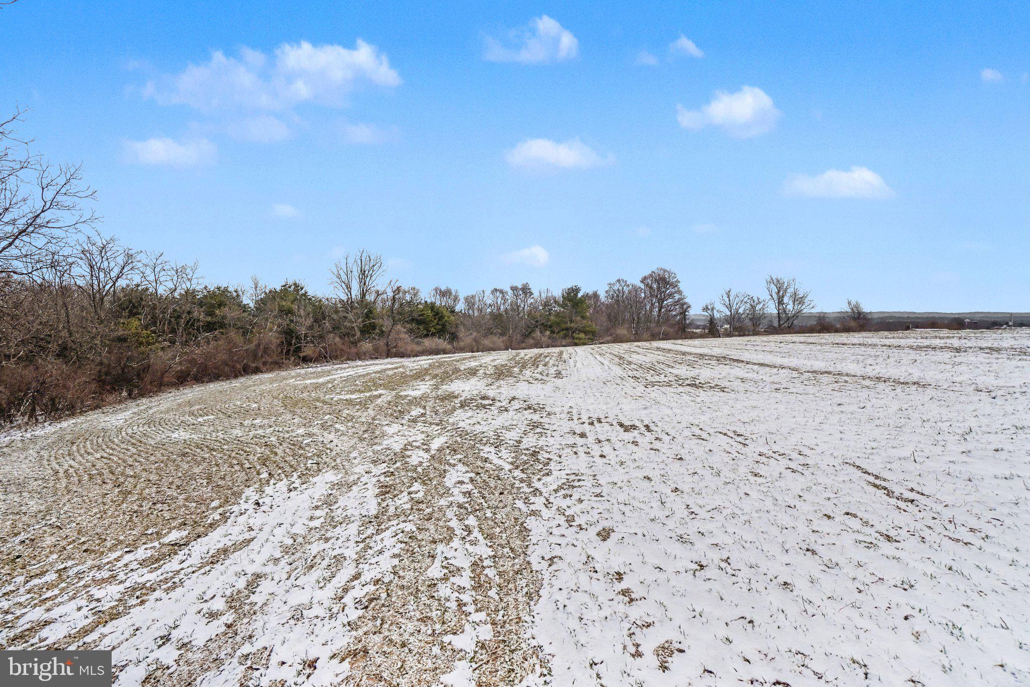 Willard Hill Rd Mount Mount Pleasant Mills, PA 17853 - Photo 6 of 20