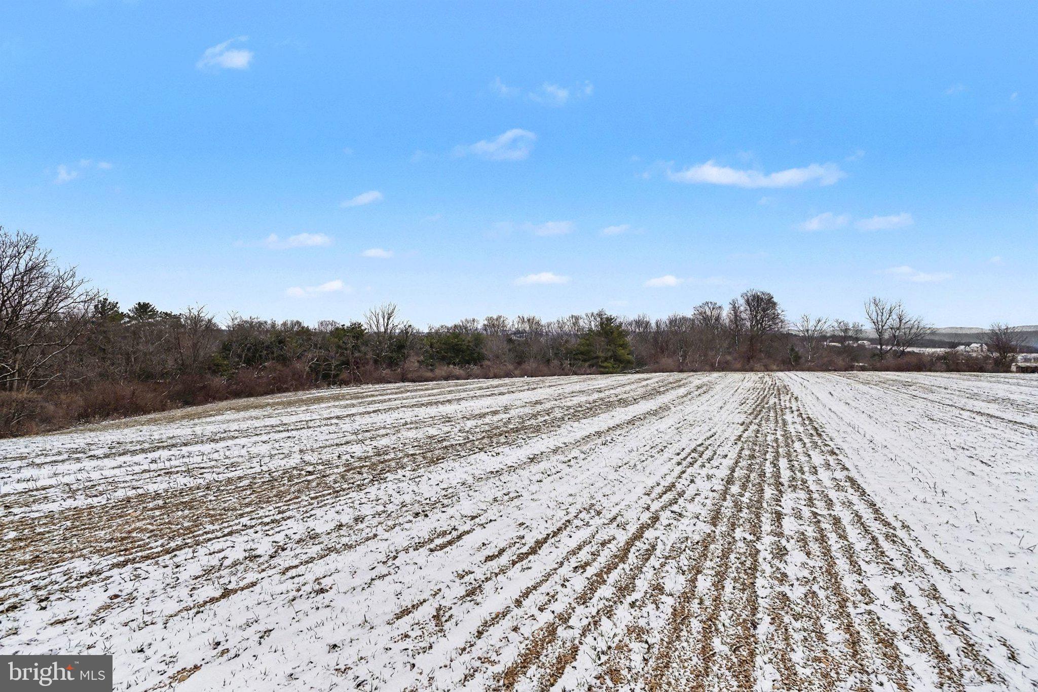Willard Hill Rd Mount Mount Pleasant Mills, PA 17853 - Photo 7 of 20