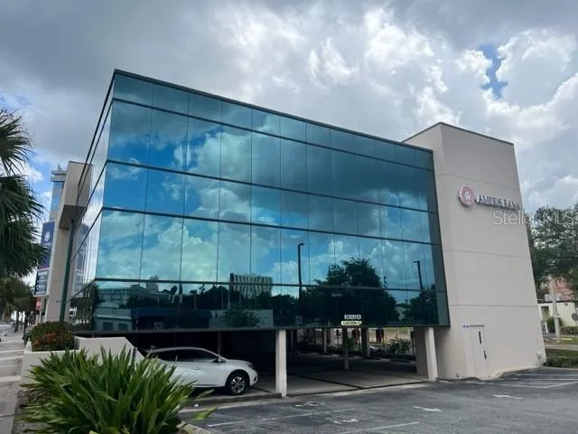 a view of a yard with palm trees