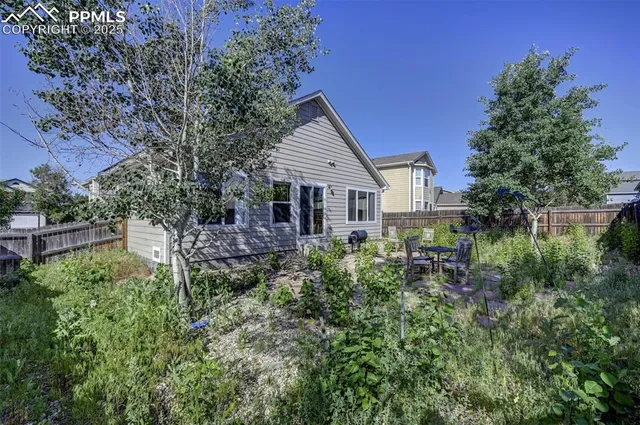a view of backyard with plants and large trees