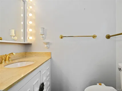 a bathroom with a sink vanity and toilet