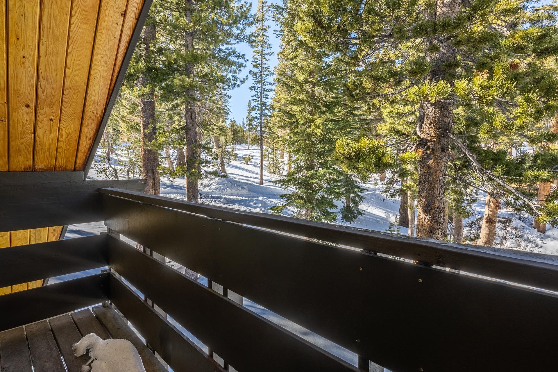 11000 Minaret Road, Unit 18 Mammoth Lakes, CA 93546 - Photo 35 of 45 Gallery Image 35