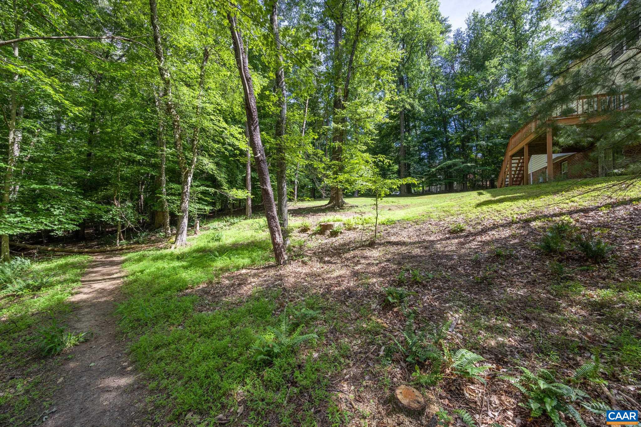 3221 Poplar Ridge Road Charlottesville, VA 22911 - Photo 67 of 72 a view of a yard with a tree