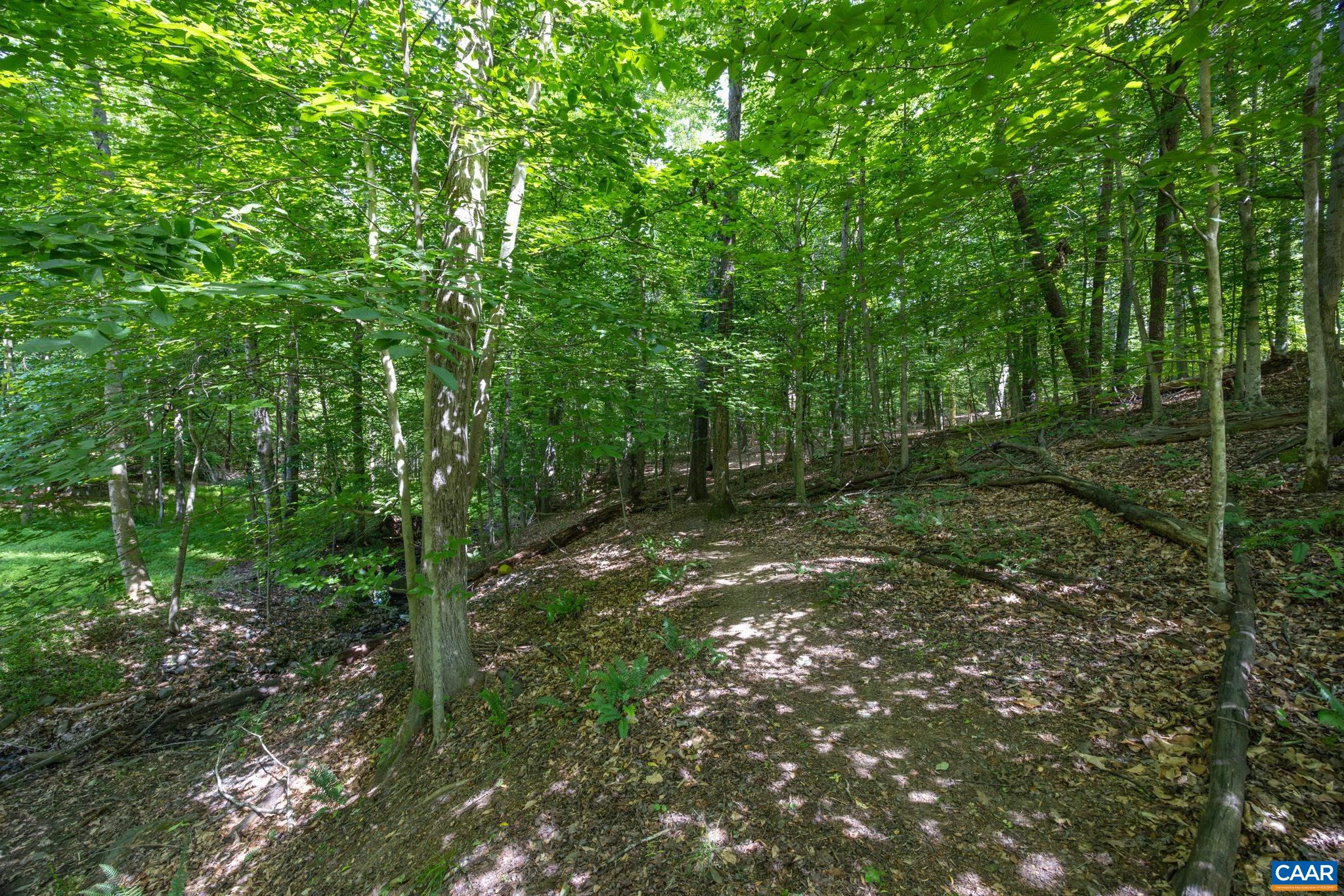 3221 Poplar Ridge Road Charlottesville, VA 22911 - Photo 68 of 72
