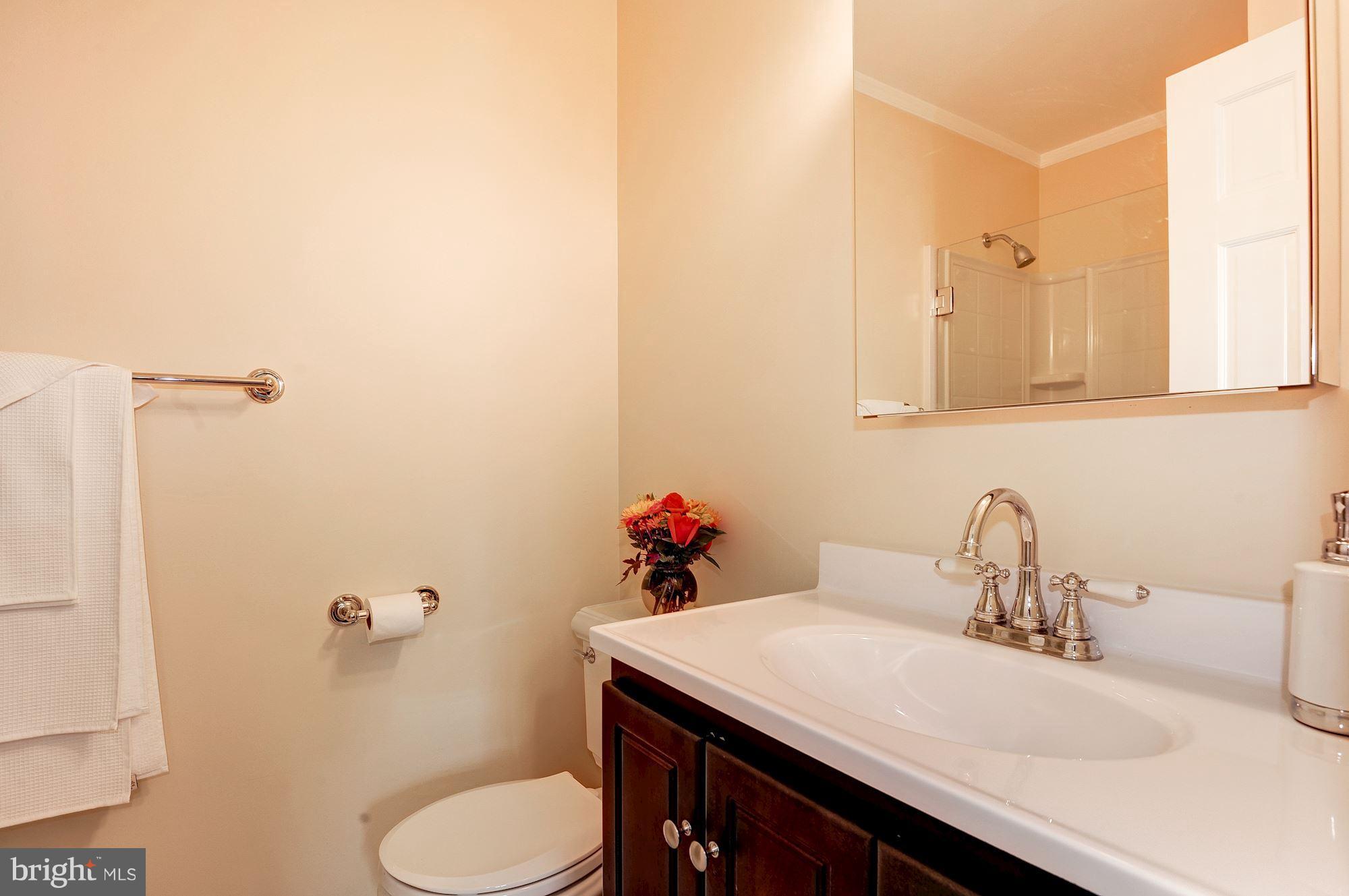 2306 Archdale Road Reston, VA 20191 - Photo 22 of 30 Bath (Master)