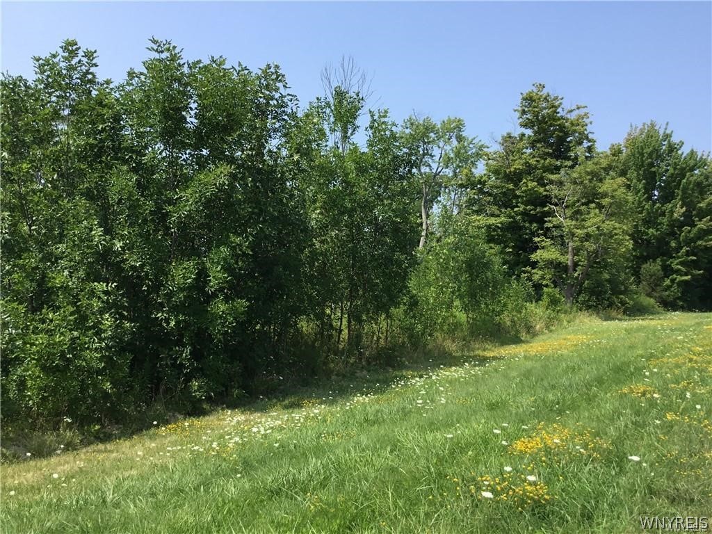 8996 Erie Road Evans, NY 14006 - Photo 2 of 9