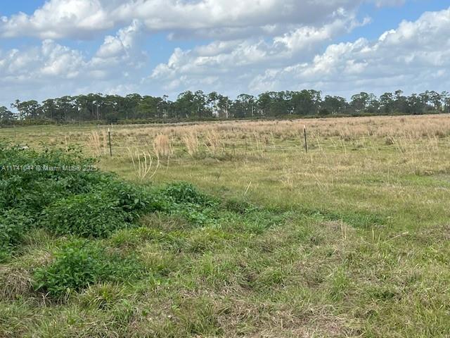 140 Angus Road Venus, FL 33960 - Photo 3 of 8 Gallery Image 3