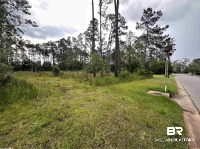 9030 Bay Point Drive Elberta, AL 36530 - Photo 14 of 16 View of asphalt street