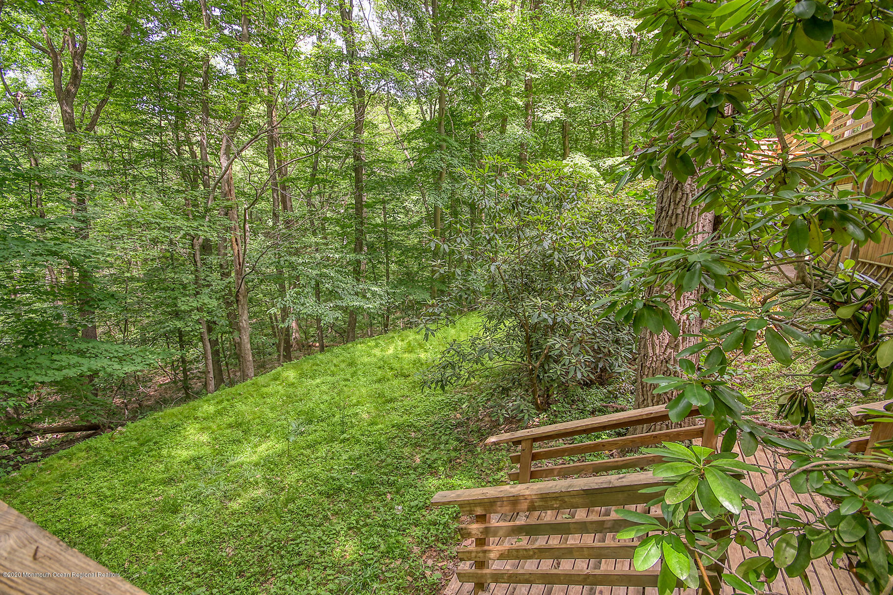 14 Delwood Road Chester, NJ 07930 - Photo 10 of 49 JUNI4300