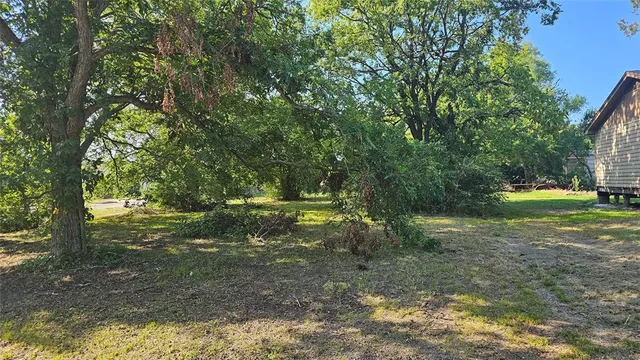 a view of a yard with a tree