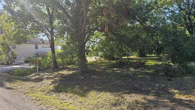 a view of a tree in the middle of a yard