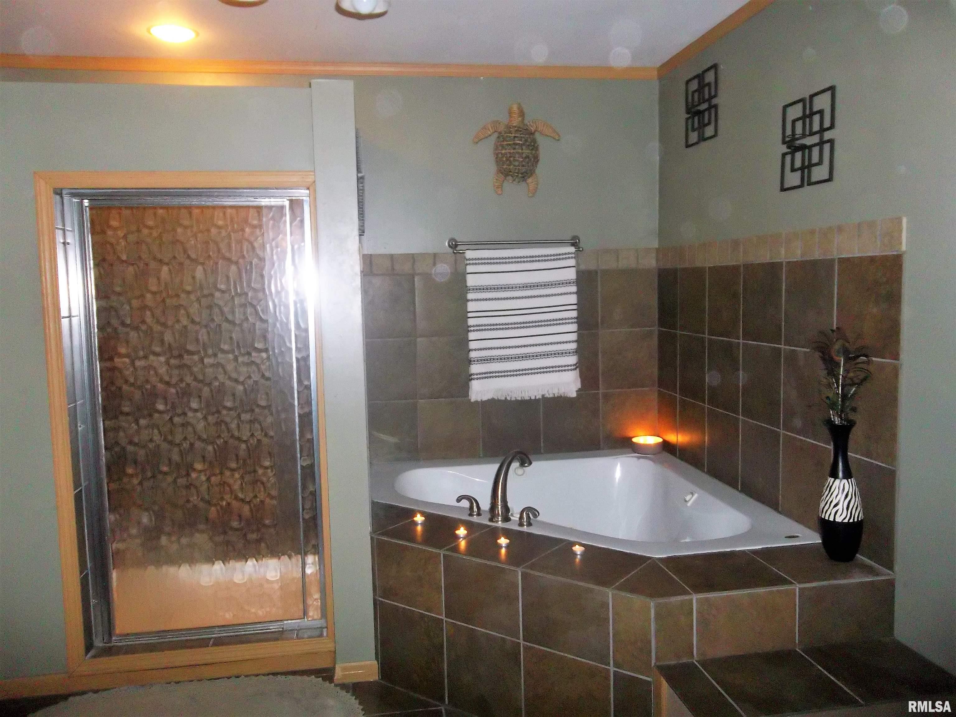3632 County Farm Road Salem, IL 62881 - Photo 15 of 37