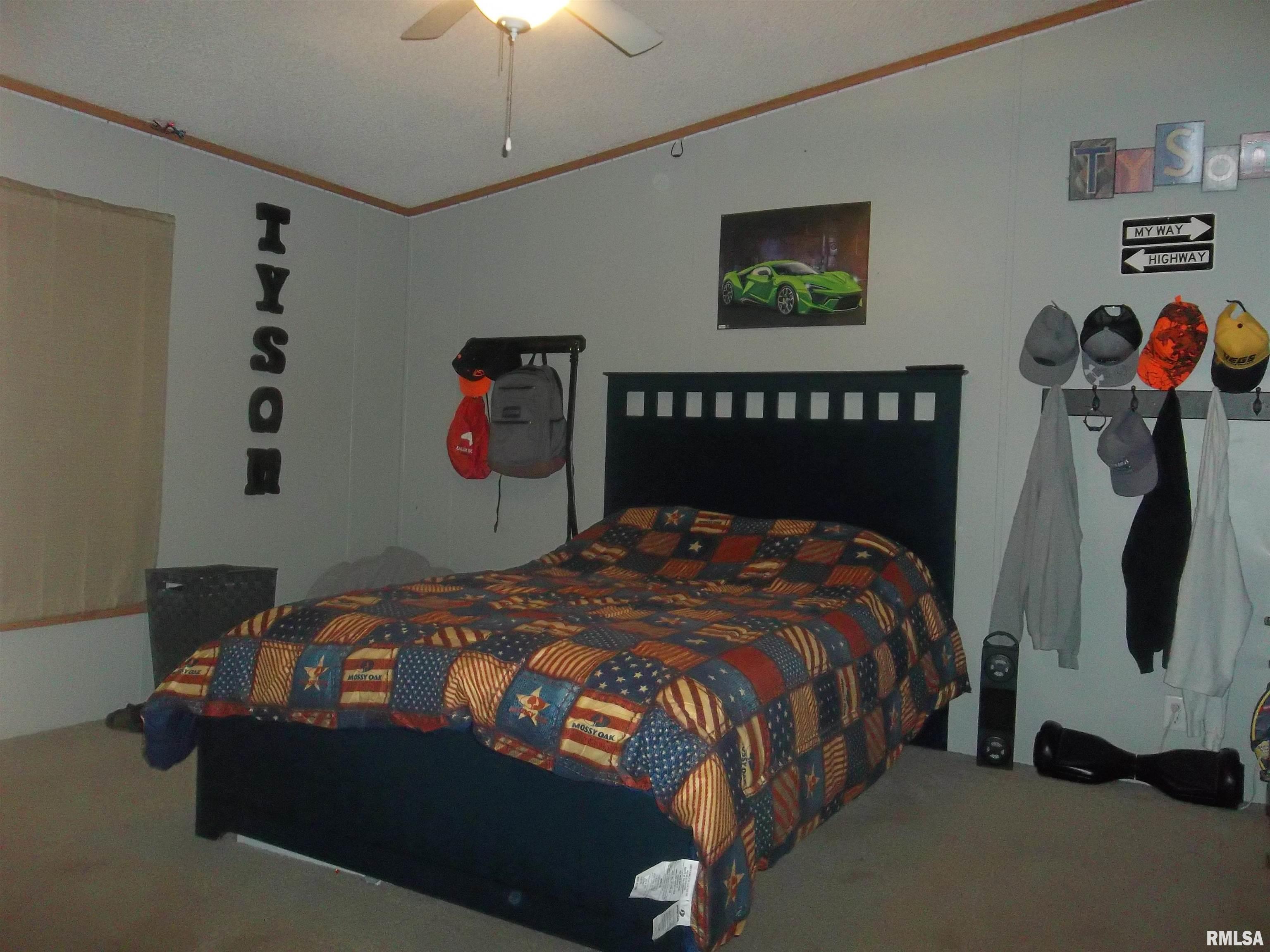 3632 County Farm Road Salem, IL 62881 - Photo 17 of 37