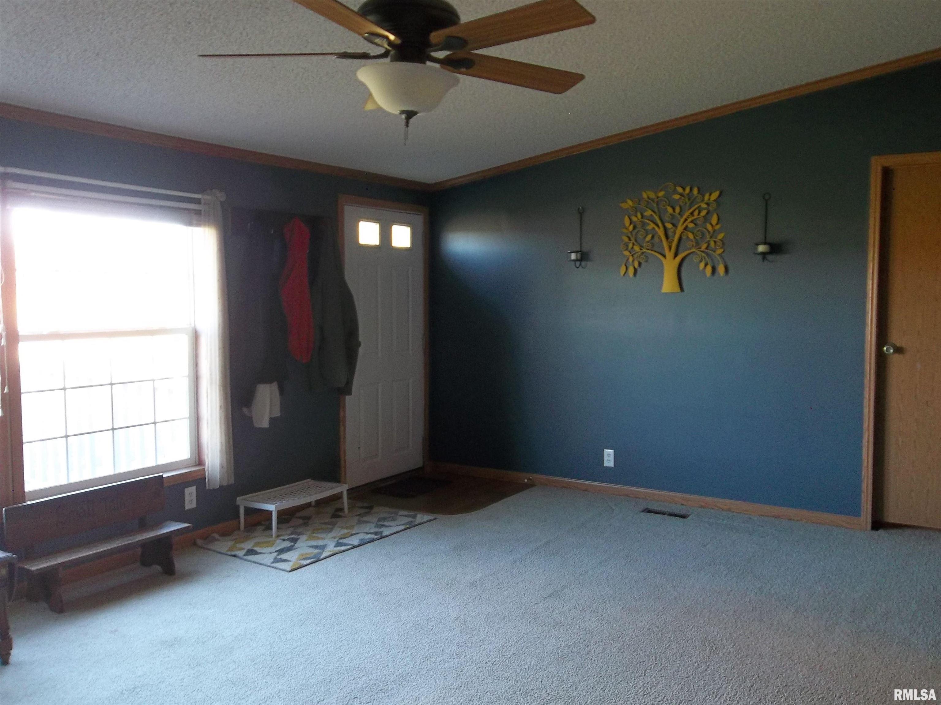 3632 County Farm Road Salem, IL 62881 - Photo 9 of 37
