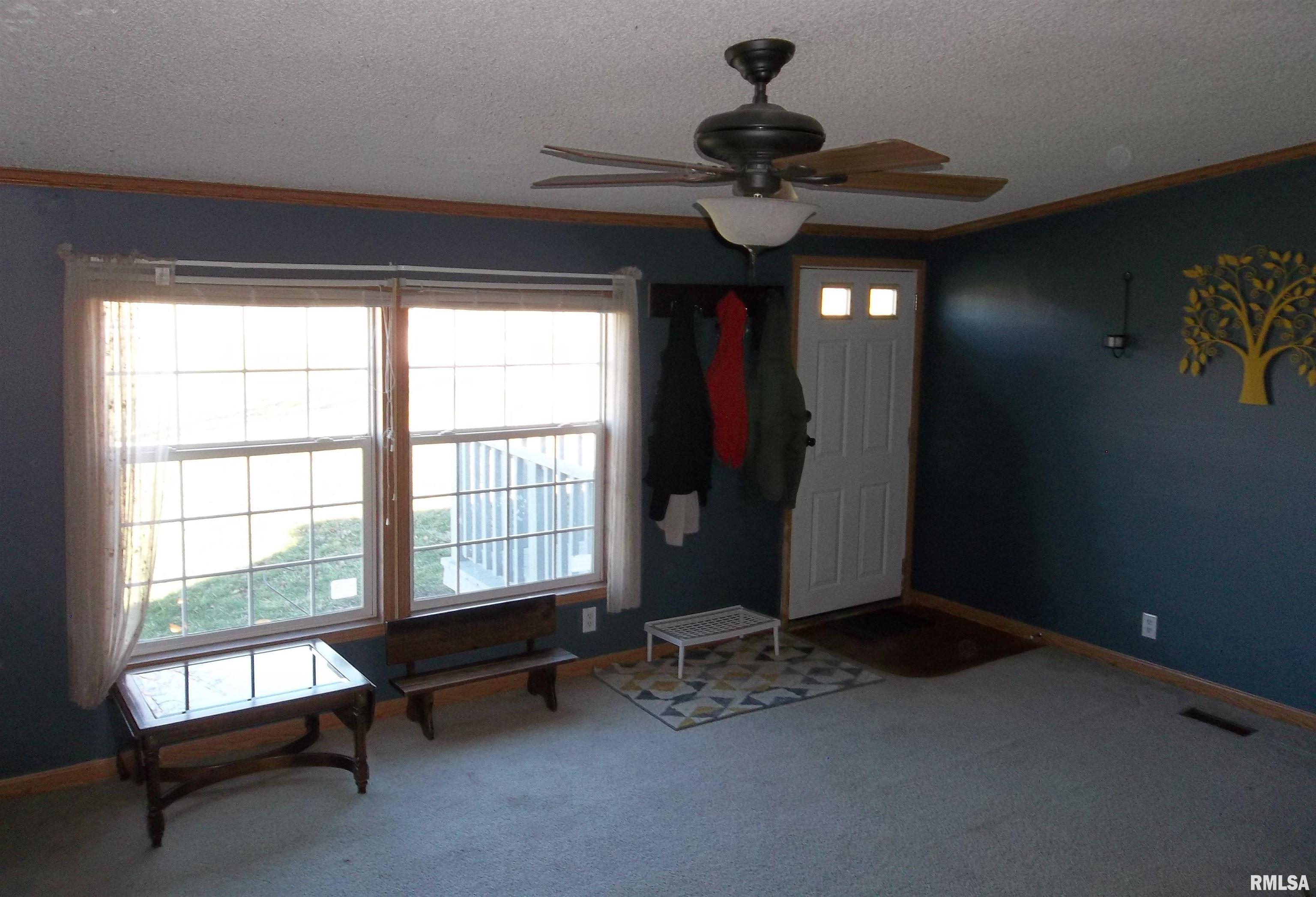 3632 County Farm Road Salem, IL 62881 - Photo 10 of 37