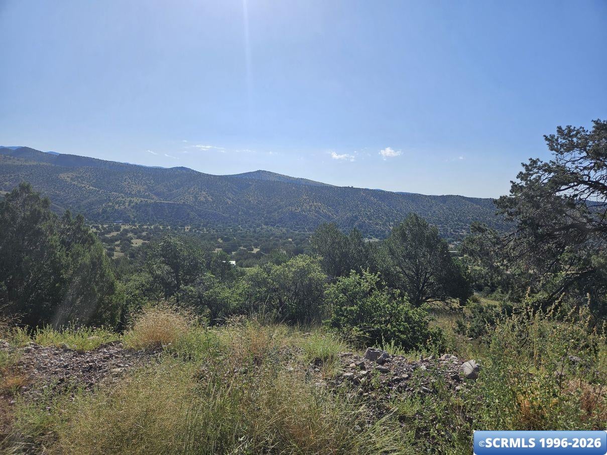 96 San Thomas Road Mimbres, NM 88049 - Photo 16 of 19 Gallery Image 16