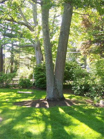 61 Cedarwood Road Scituate, MA 02066 - Photo 11 of 27 Gallery Image 11