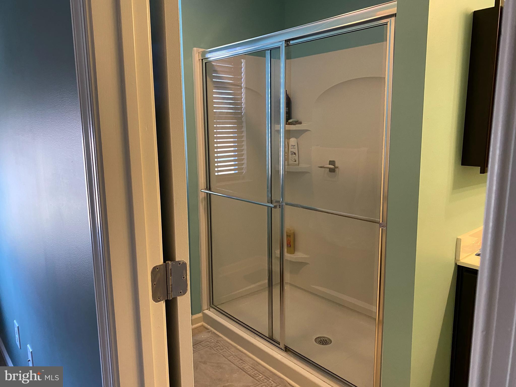 516 Colbert Road Townsend, DE 19734 - Photo 34 of 39 stall shower