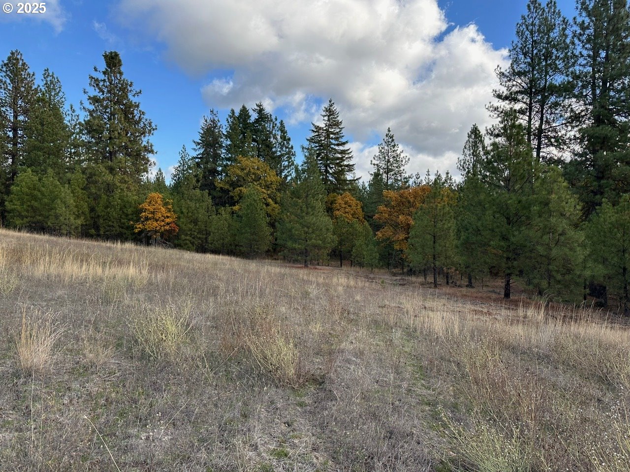 3 Garrison Road Goldendale, WA 98620 - Photo 3 of 9