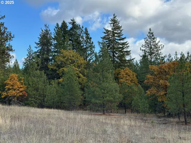 $125,000 | 3 Garrison Road, Goldendale, WA 98620