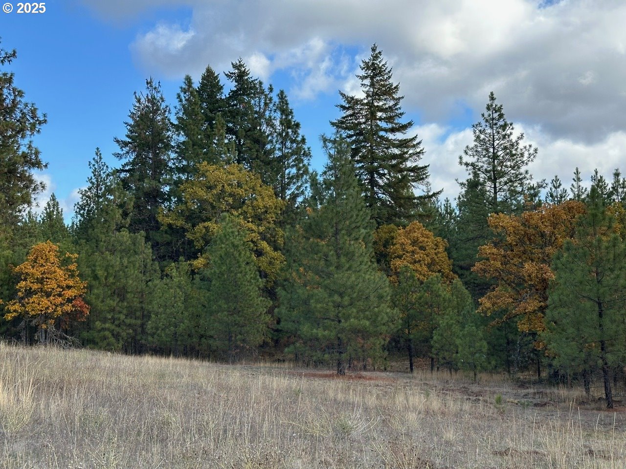 3 Garrison Road Goldendale, WA 98620 - Photo 4 of 9